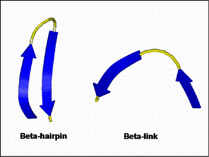 beta hairpin